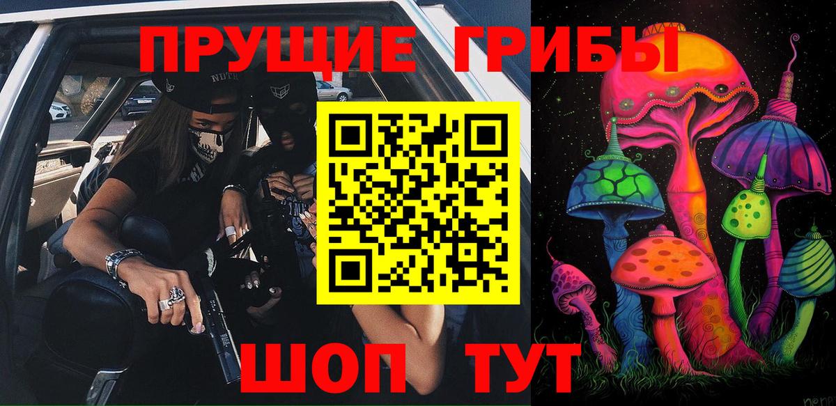 Псилоцибиновые грибы GOLDEN TEACHER Сокол
