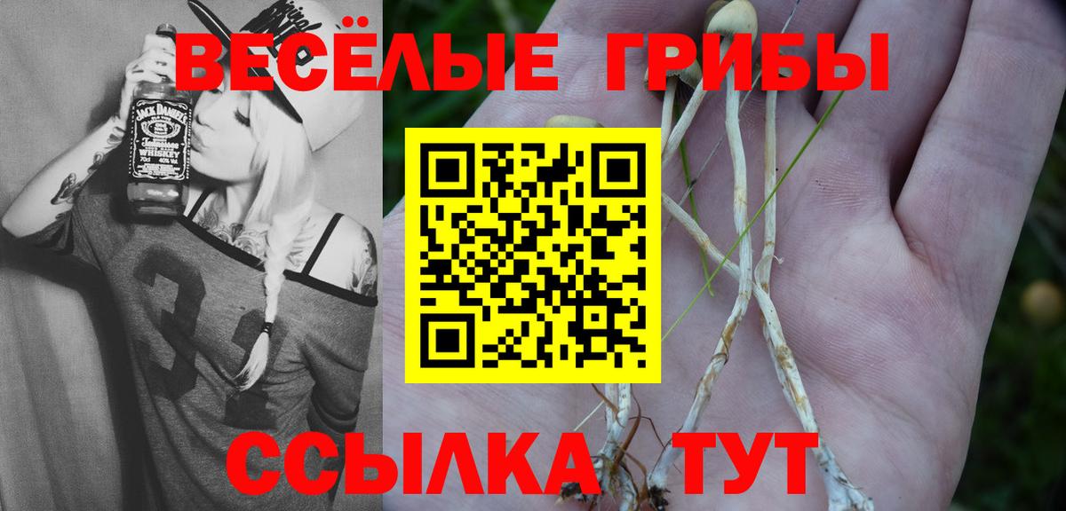 Псилоцибиновые грибы GOLDEN TEACHER  Вход с VPN  Псилоцибиновые грибы прущие грибы  Сокол 