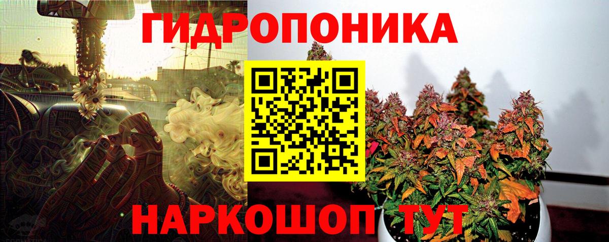 Конопля ГИДРОПОН Сокол